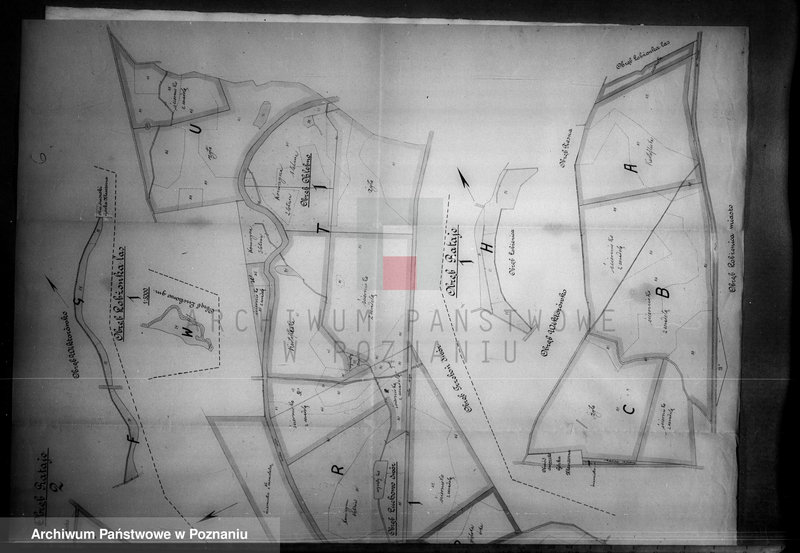 Obraz 10 z jednostki "Rejestr pomiarowy zasiewów i upraw majątku Łobżenice powiatu wyrzyskiego"