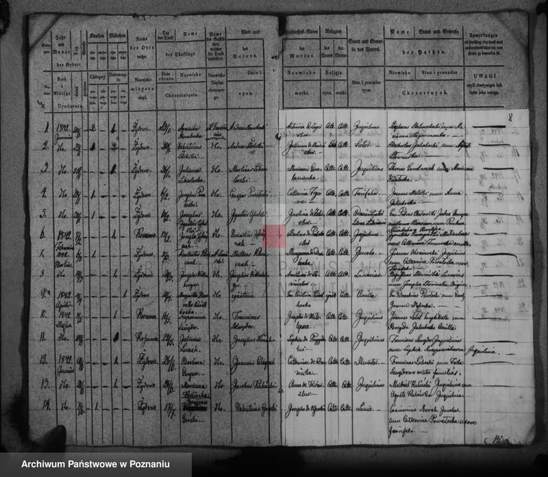 Obraz 7 z jednostki "Duplikat baptisatorum, copulatorum, mortuorum"