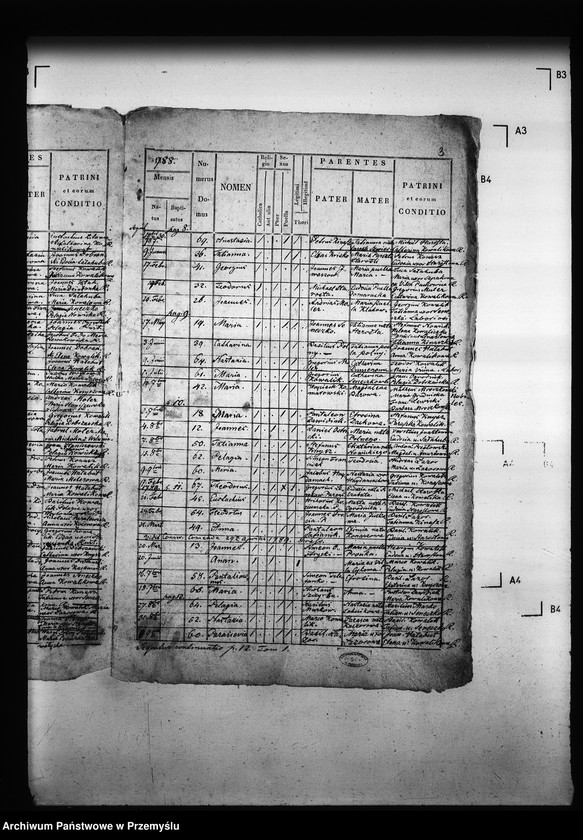 Obraz 7 z jednostki "[Kopie ksiąg metrykalnych parafii Drozdowice z filiami Stroniowice, Wielunice (dekanat Niżankowice)]"