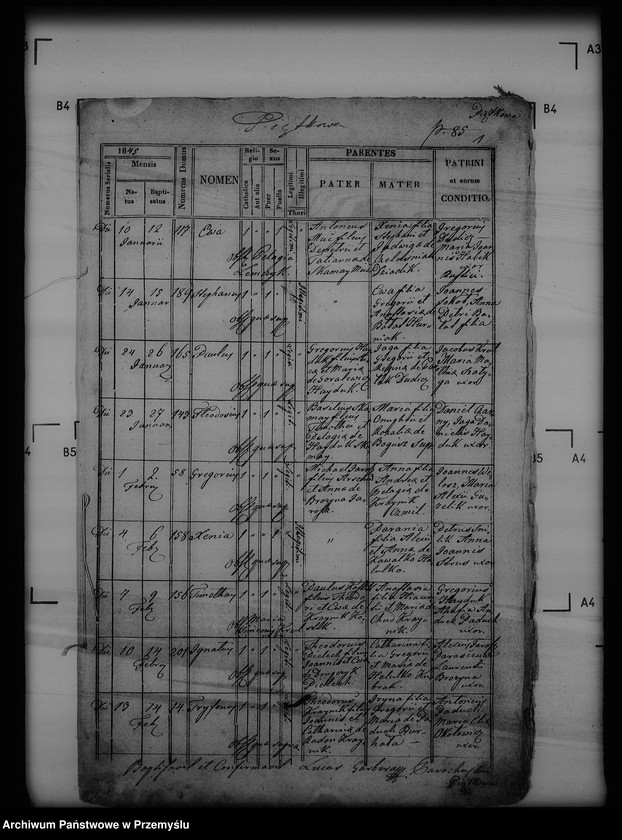 Obraz 5 z jednostki "[Kopie ksiąg metrykalnych parafii Piątkowa Ruska (dekanat Bircza)]"