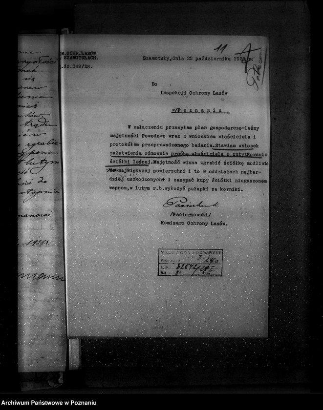 Obraz 15 z jednostki "Majętność leśna Powodowo powiat wolsztyński"