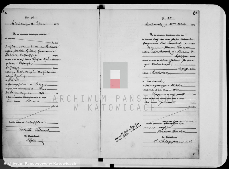 image.from.unit.number "Księga urodzeń za rok 1874 [nr 1 - 96]"