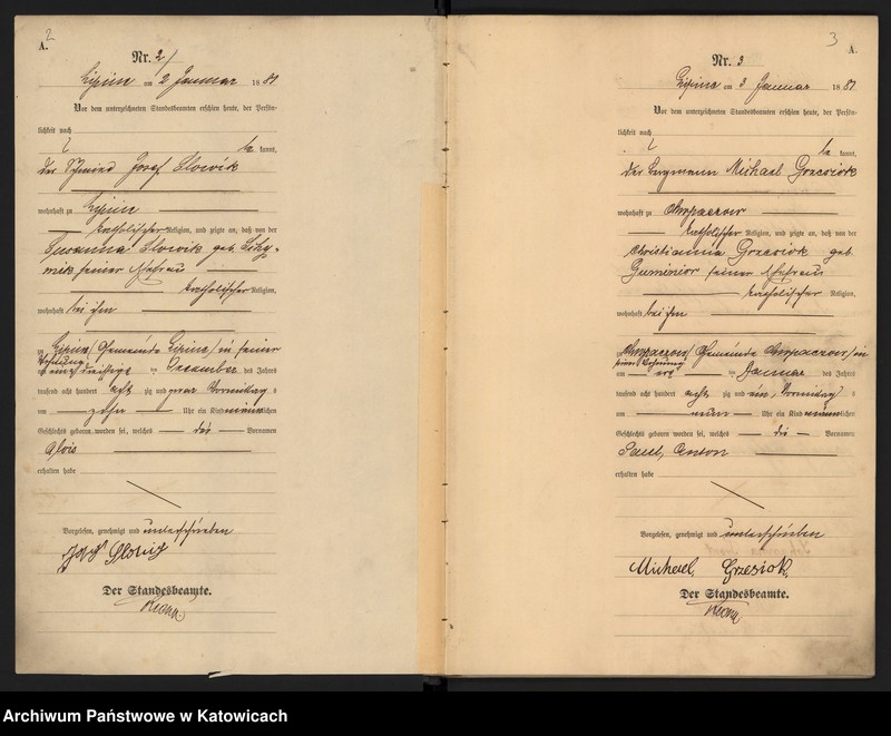 image.from.unit.number "Księga urodzeń T.1 nr 1-358"