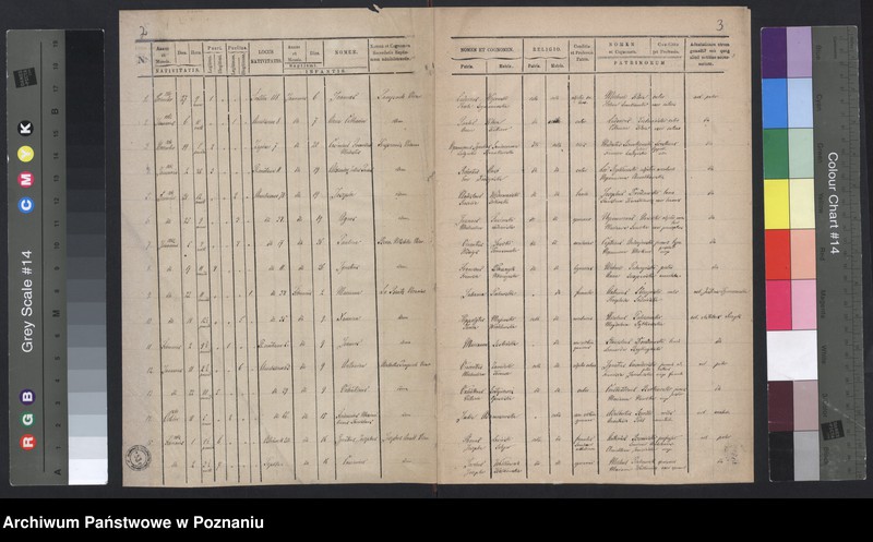 Obraz 4 z jednostki "Indeks urodzeń"