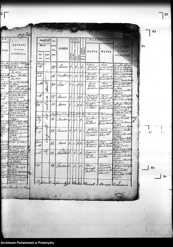 Obraz 7 z jednostki "[Kopie ksiąg metrykalnych parafii Hańczowa z filią Ropki (dekanat Gorlice)]"