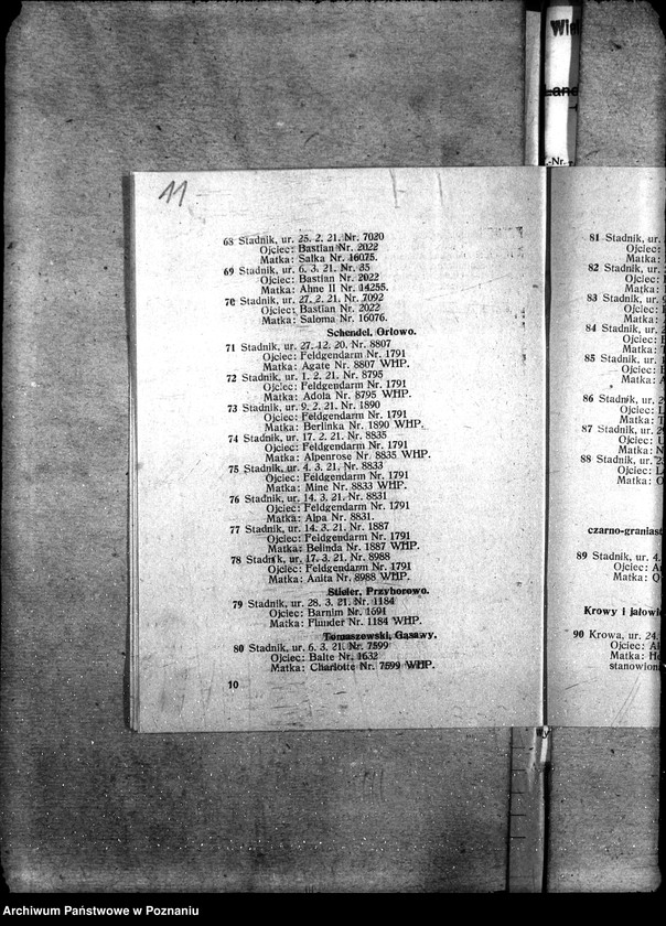 image.from.unit.number "Sprawy szczegółowo-administracyjne Aukcje inwentarza i wystawa"