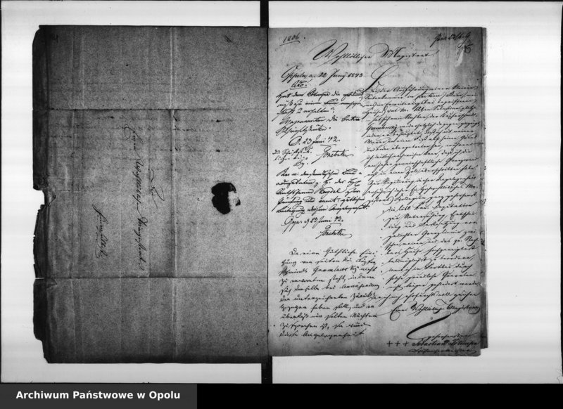 Obraz 14 z jednostki "Acta des Magistrats zu Oppeln betreffend die Untersuchung der Grenzstreitigkeiten durch die Grenz - Deputation. De Anno 1841. Vol. V"
