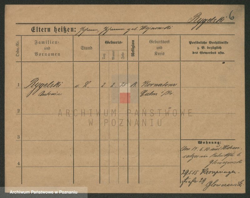 Obraz 8 z jednostki "Rigelhaupt - Rinke"