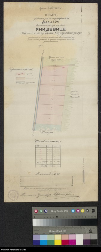 Obraz 1 z jednostki "Plan učastka zemli pod nazvanìem Leonov vydělennago iz iměnìja Janiševice Kališskoj Gubernìi Sěradzskago uězda"
