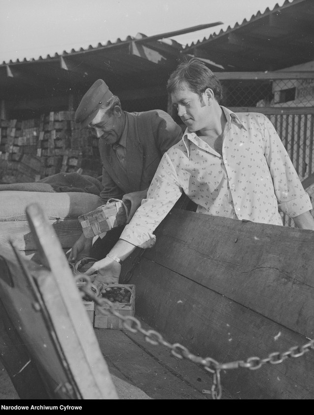 image.from.unit.number "Zbiór truskawek, skup owoców i warzyw we wsi Sobienie-Jeziory"