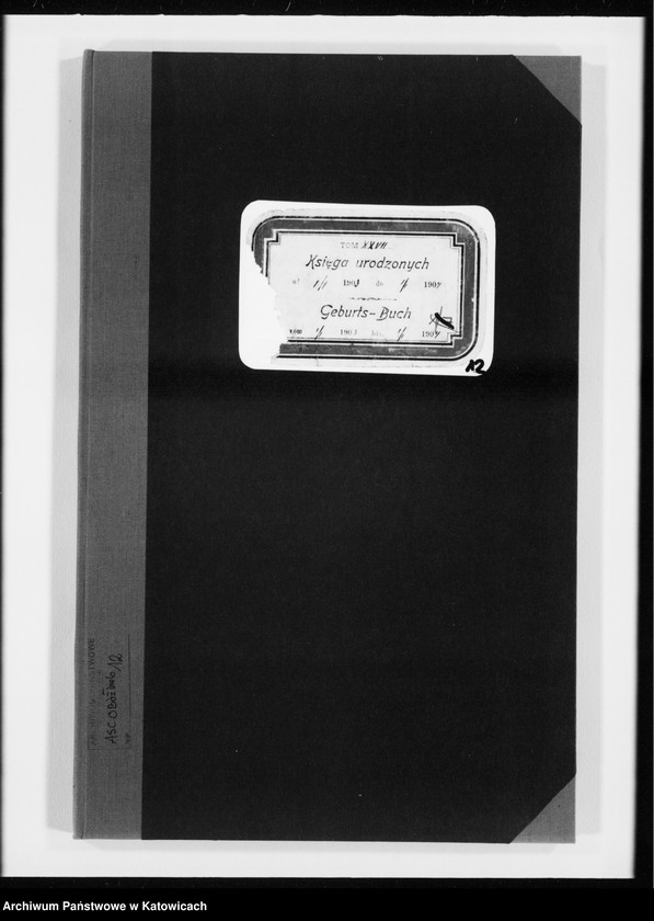 image.from.unit "Księga urodzeń nr 1-63 (wtóropis)"