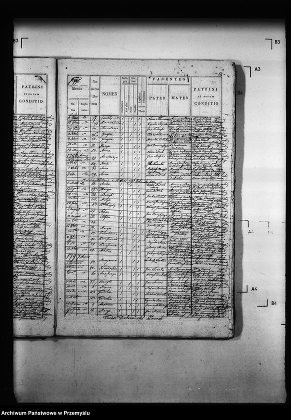 Obraz 18 z jednostki "[Kopie ksiąg metrykalnych parafii Wróblaczyn z filią Wola Wróblaczyńska (dekanat Niemirów)]"