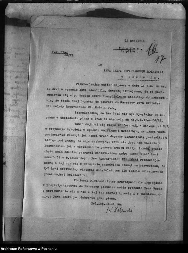 Obraz 20 z jednostki "Rekwizycje koni"