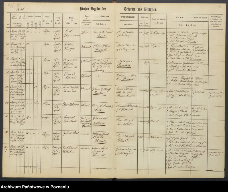 Obraz 8 z jednostki "[Akta urodzeń i chrztów, ślubów, zgonów]"