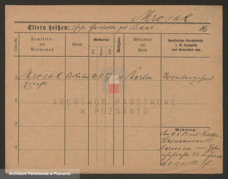 Obraz 16 z jednostki "Mrozek - Mucha"