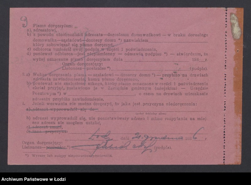 Obraz 11 z jednostki "Szymon Działoszyński- sprzedaż pierza"