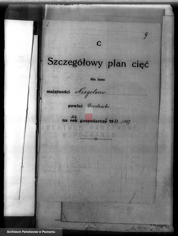 Obraz 13 z jednostki "Plan urządzenia gospodarstwa leśnego dla lasu majątku Niego lewo powiat nowotomyski 1927-1937"