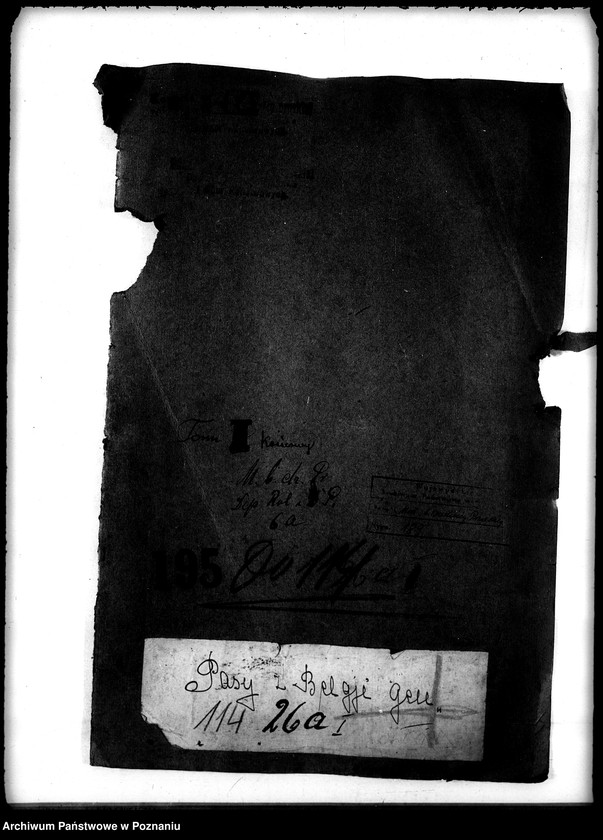 Obraz 4 z jednostki "Pasy z Belgii - gen."