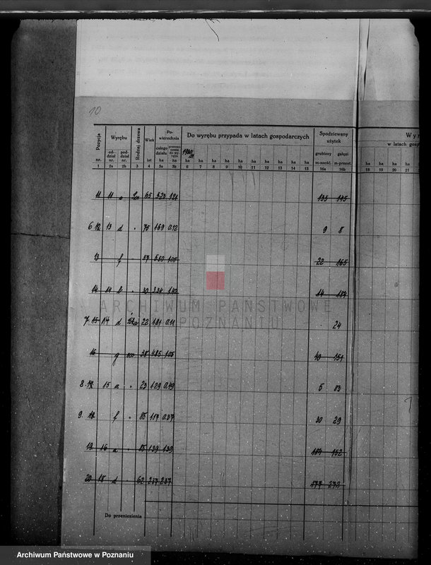 Obraz 14 z jednostki "/Nadzór nad lasami/ majątku Gębice powiatu czarnkowskiego"