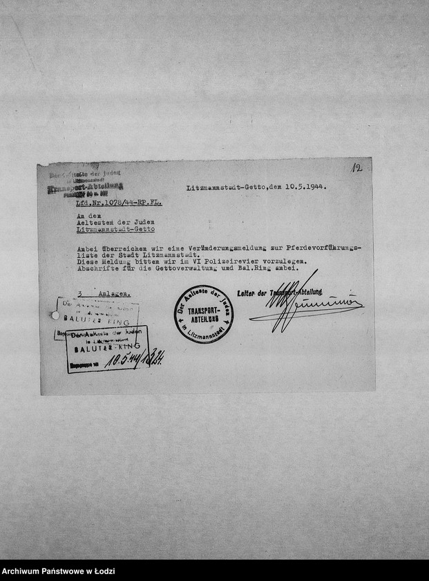 Obraz 15 z jednostki "Veränderungs-Meldungen [Korespondencja PSŻ z GV w sprawie pogłowia końskiego]"