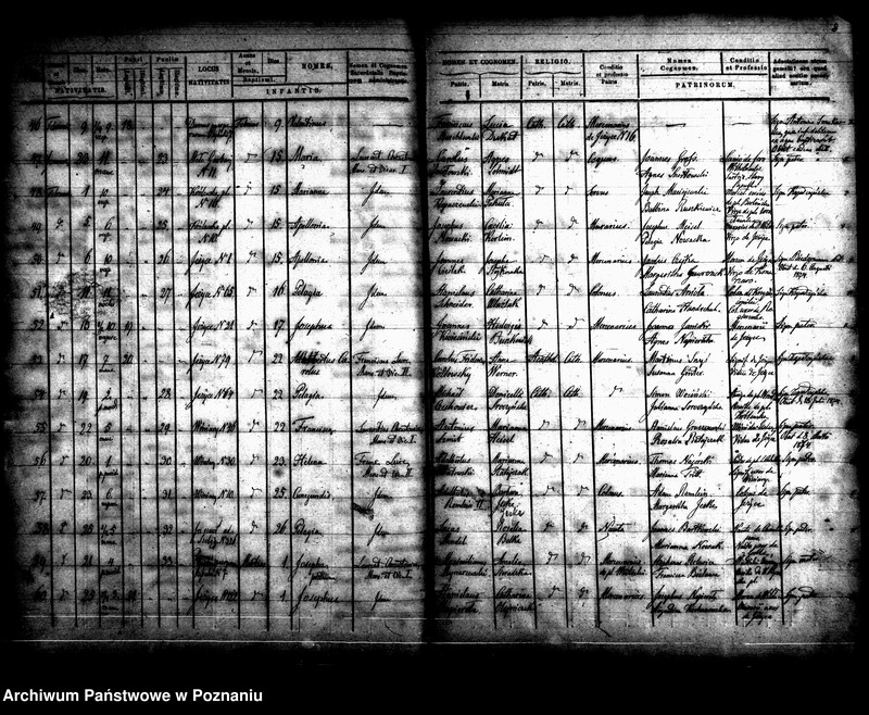 Obraz 8 z jednostki "Księga urodzin"