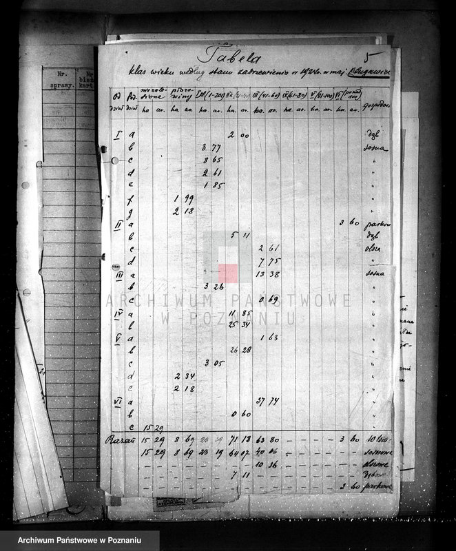 Obraz 9 z jednostki "Nadzór nad gospodarką w lasach majętności Plugawice powiat kępiński"