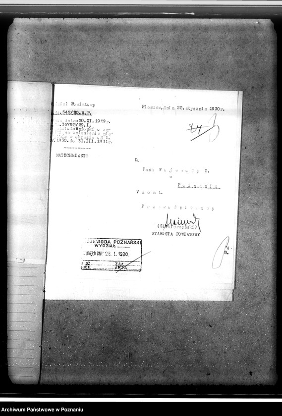 Obraz 8 z jednostki "Zalesienie nieużytków w powiecie jarocińskim"