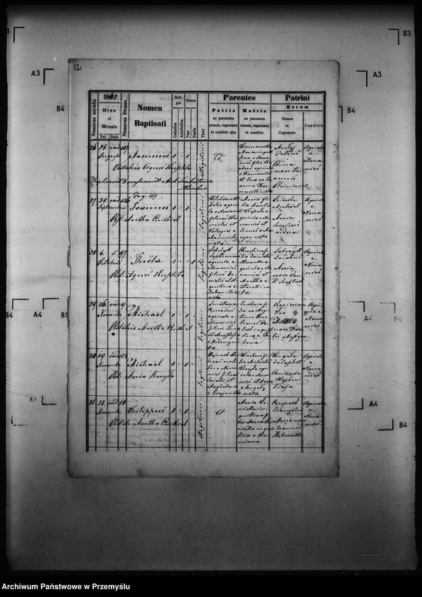 Obraz 17 z jednostki "[Kopie ksiąg metrykalnych parafii Nowa Wieś z filią Łosie (dekanat Muszyna)]"