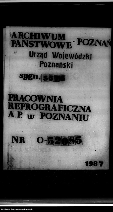 Obraz 15 z jednostki "Miasto Gniewkowo sprawy różne"
