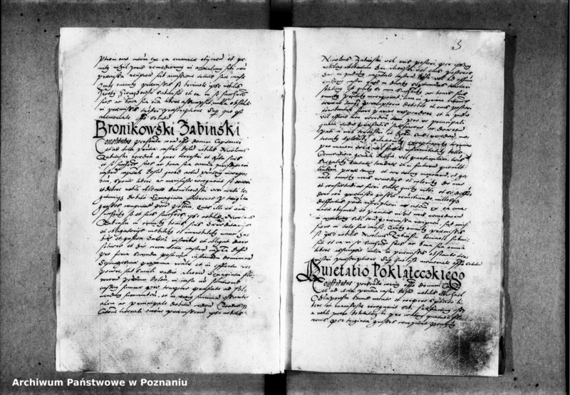 Obraz 7 z jednostki "Inscriptiones, relationes [inducta]"