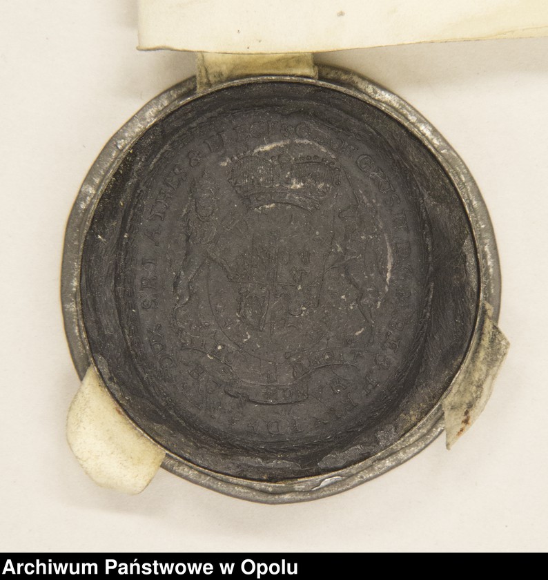 Obraz 5 z kolekcji "Angielskie nadanie111"