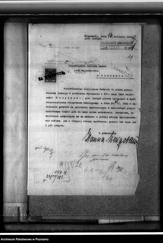 Obraz 15 z jednostki "Majętność leśna Krzyżanki w powiecie gostyńskim"