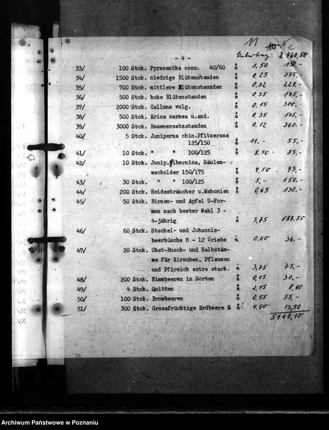 Obraz 15 z jednostki "Prace budowlane w ogrodzie urzędu namiestnika"