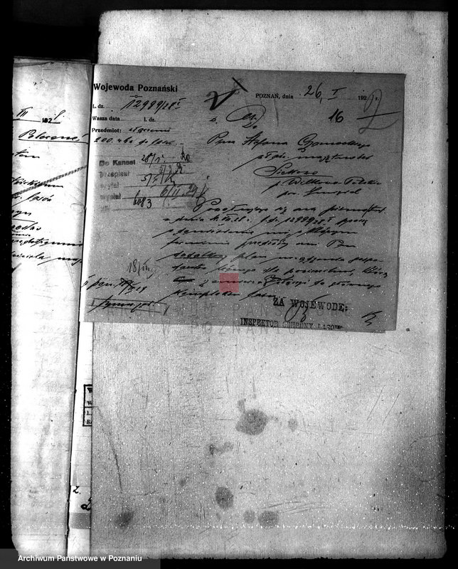 Obraz 20 z jednostki "Majętność leśna /Siekówko/ powiat kościański"