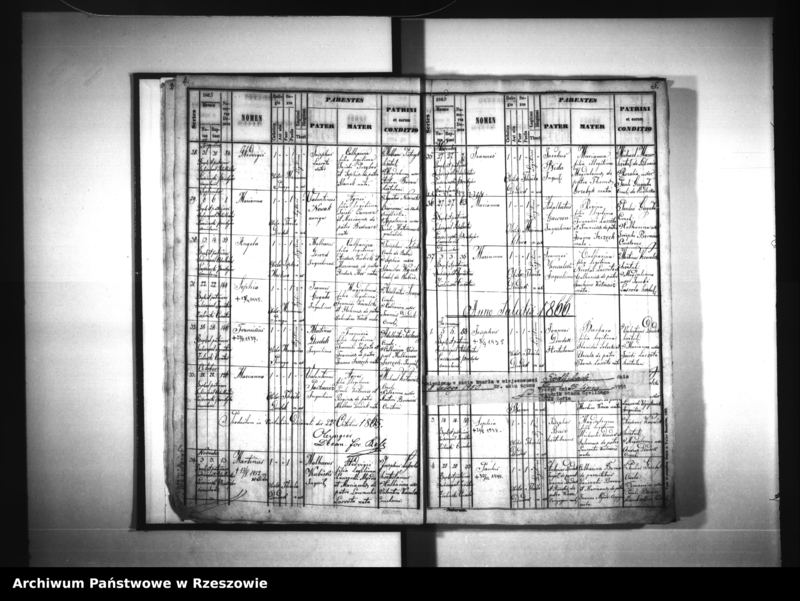 image.from.unit.number "Księga urodzeń - Siedliska"