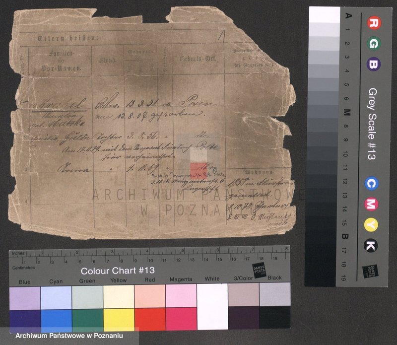 Obraz 1 z jednostki "Krabel - Krajewski"