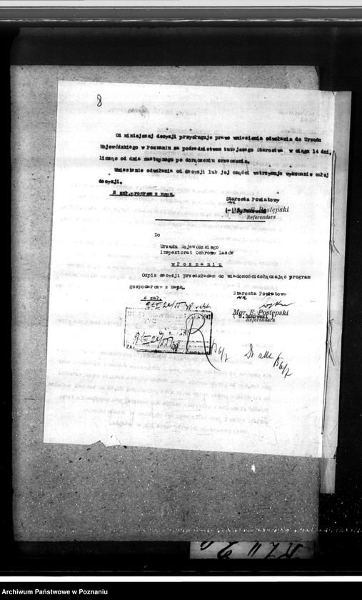 Obraz 12 z jednostki "Las majątku Strzelce-Wielkie w powiecie gostyńskim"