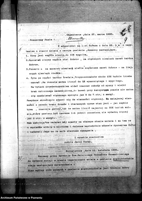 Obraz 13 z jednostki "Ziemiopłody - generalia"