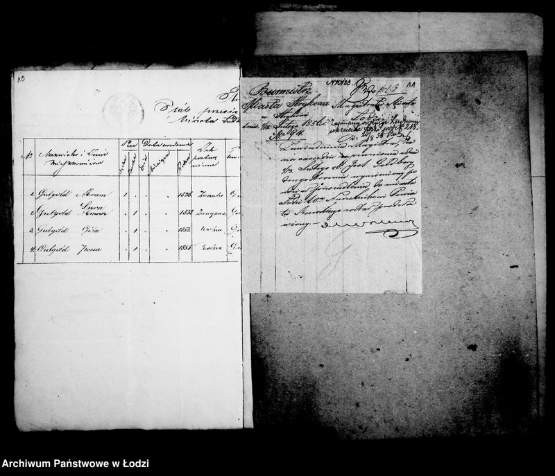 Obraz 11 z jednostki "Akta w przedmiocie przesiedleń"