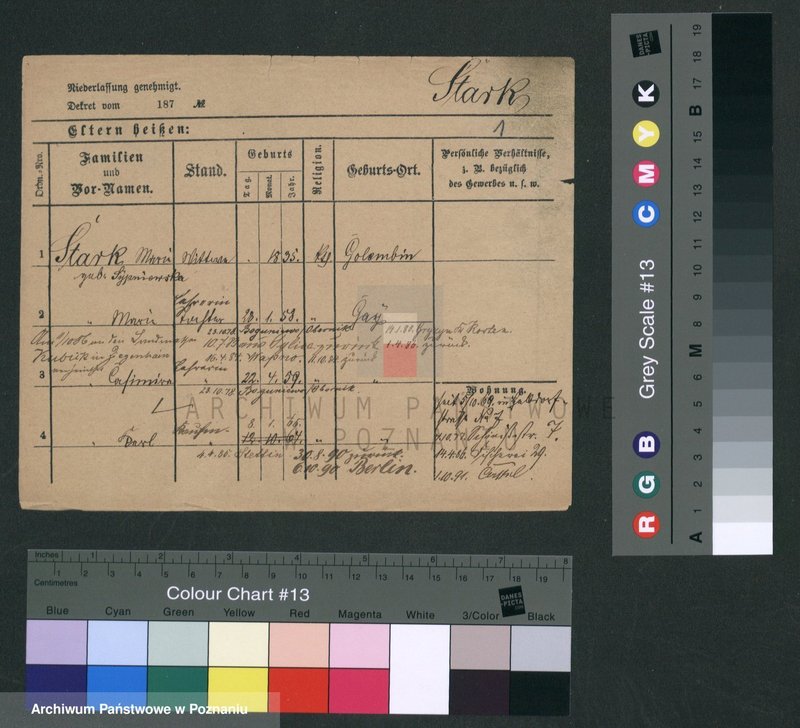 Obraz 4 z jednostki "Stankunowicz - Starosta"