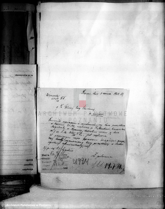 Obraz 15 z jednostki "Administracja miasta Kościana"