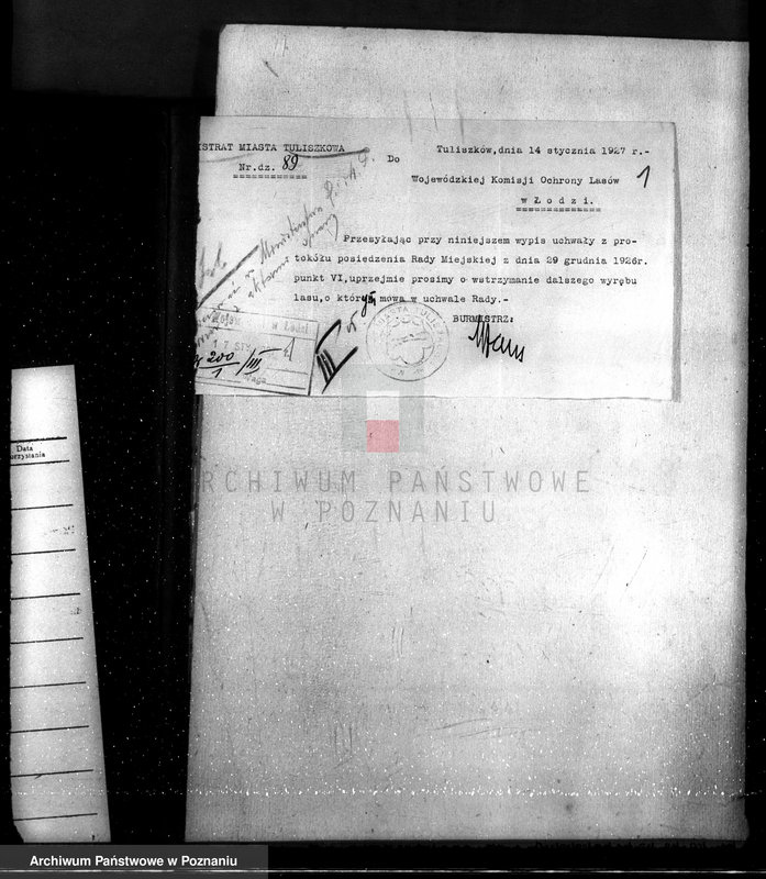 Obraz 4 z jednostki "Las miasta Tuliszkowo powiat koniński"