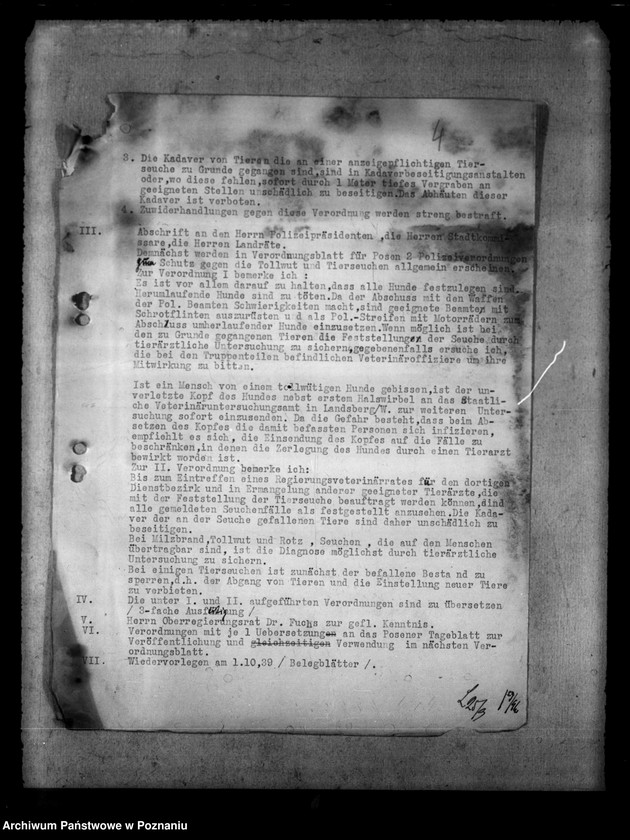 Obraz 8 z jednostki "Tollwut"