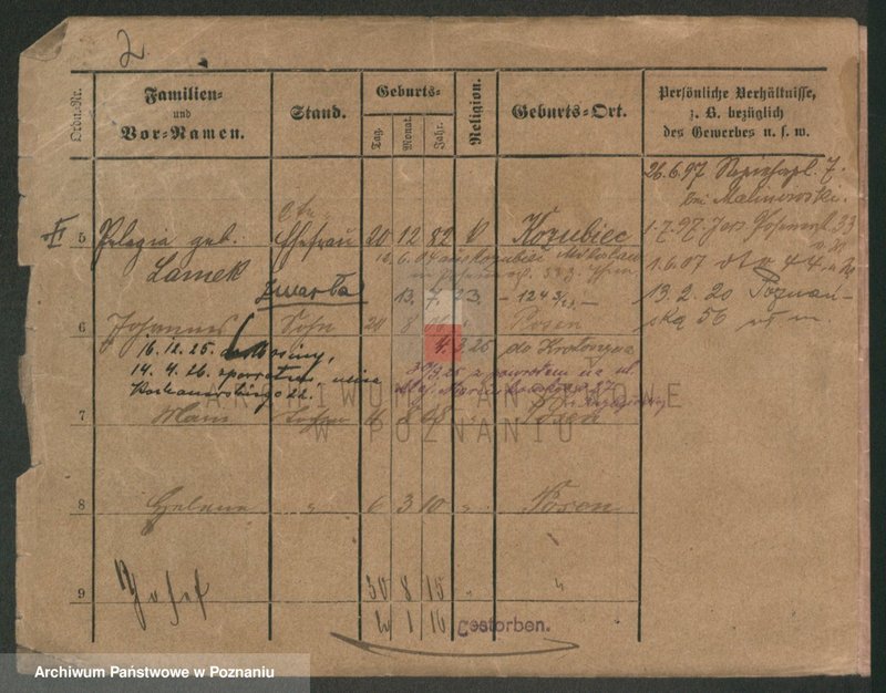 Obraz 7 z jednostki "Szymanda - Szymbowski"