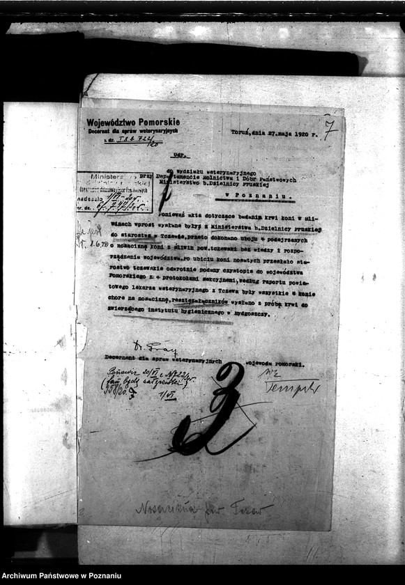 Obraz 11 z jednostki "Nosacizna - Tczew"