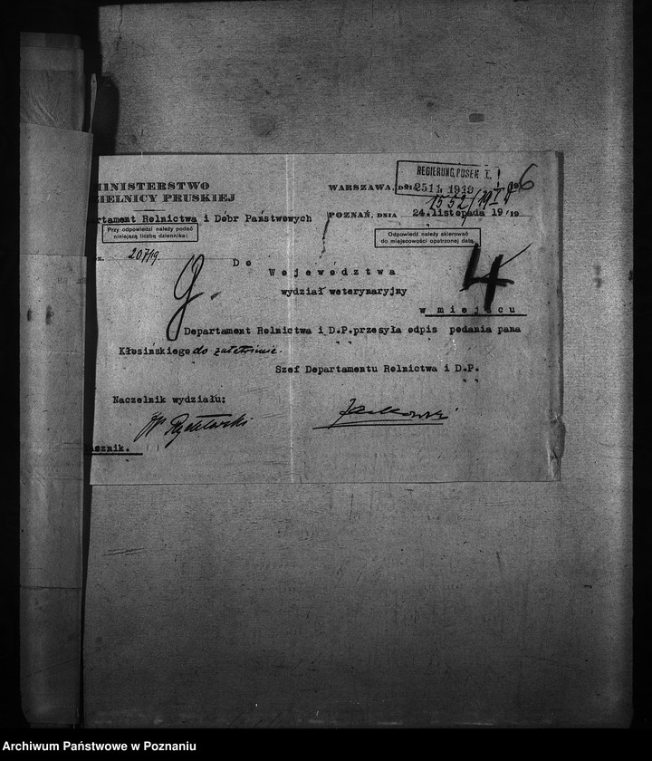 Obraz 10 z jednostki "Okólniki"