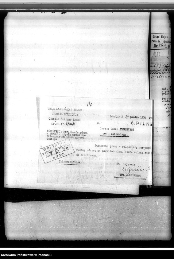 Obraz 20 z jednostki "Zatwierdzenie projektu planu gospodarstwa leśnego dla lasów majątku Marchwacz powiatu kaliskiego"