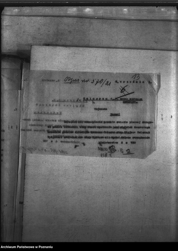 Obraz 16 z jednostki "Zaraza płucna - szczepienia ochronne"