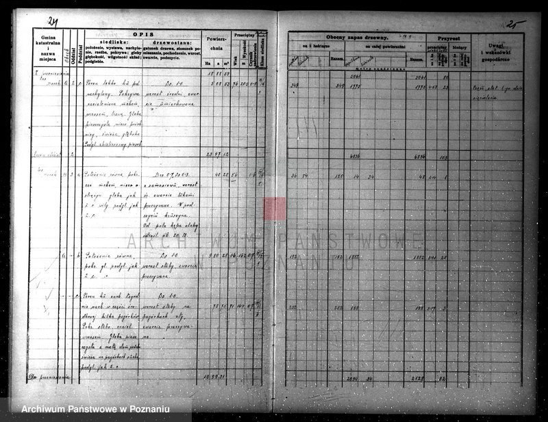Obraz 20 z jednostki "Plan gospodarczy lasów Wydziału Wielichowo Teresy ks. Lubomirskiej na dziesięciolecie 1935/36-1944/45"