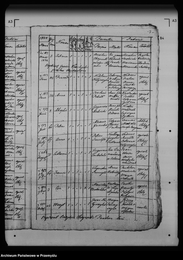 Obraz 11 z jednostki "[Kopie ksiąg metrykalnych parafii Chliple z filią Sadkowice (dekanat Mościska)]"